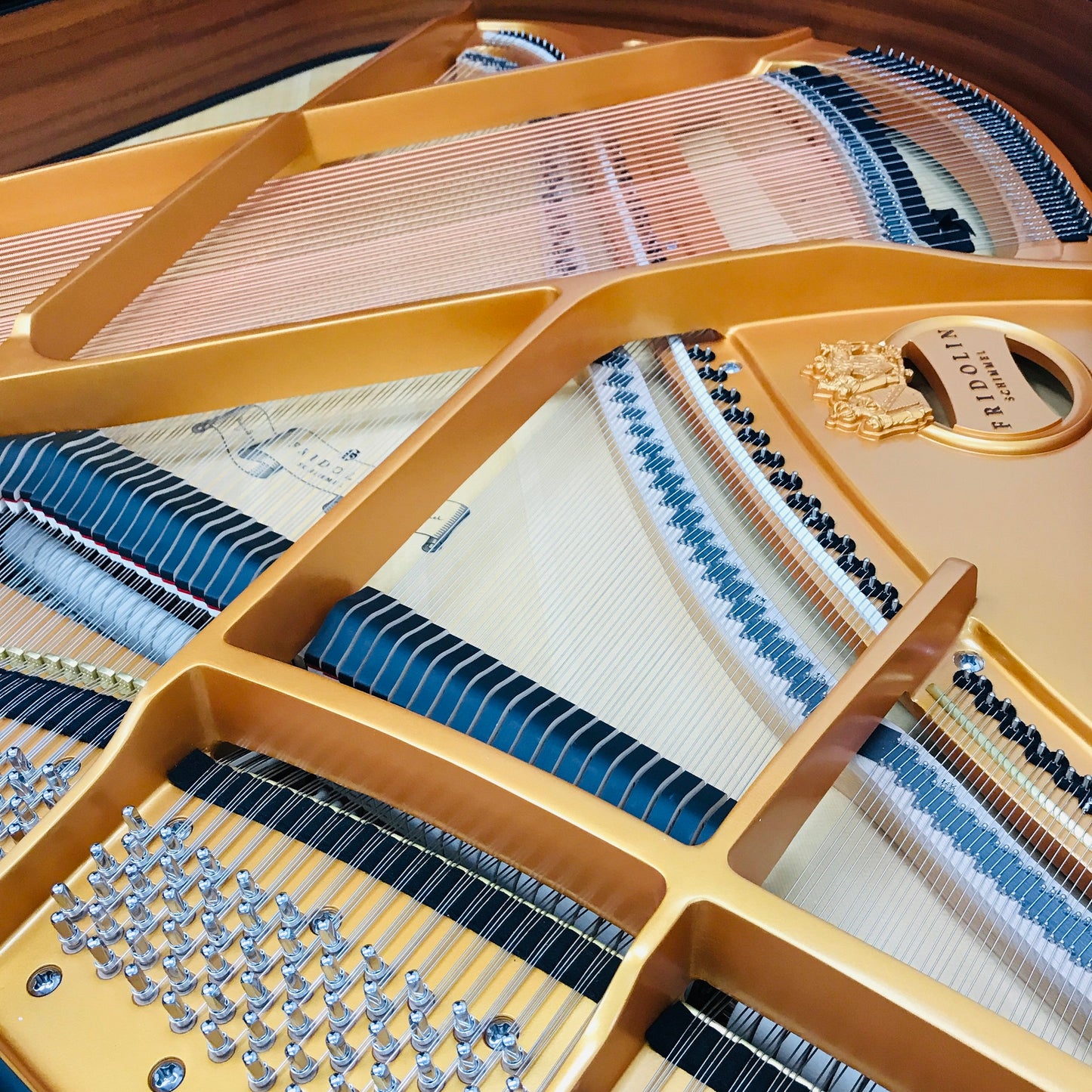 Schimmel Fridolin F156 Grand Piano