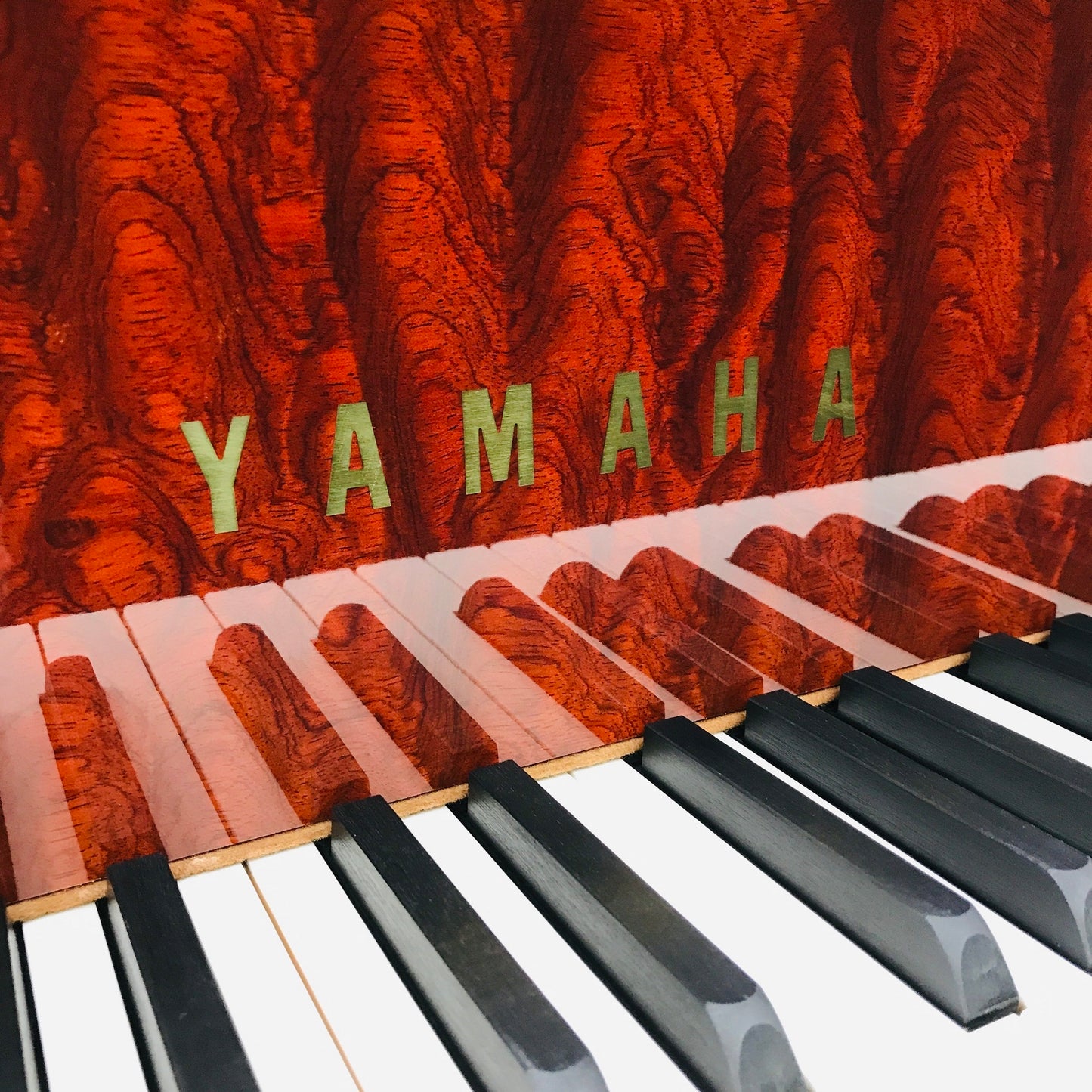 Yamaha C3 Bubinga Anniversary Edition Grand Piano