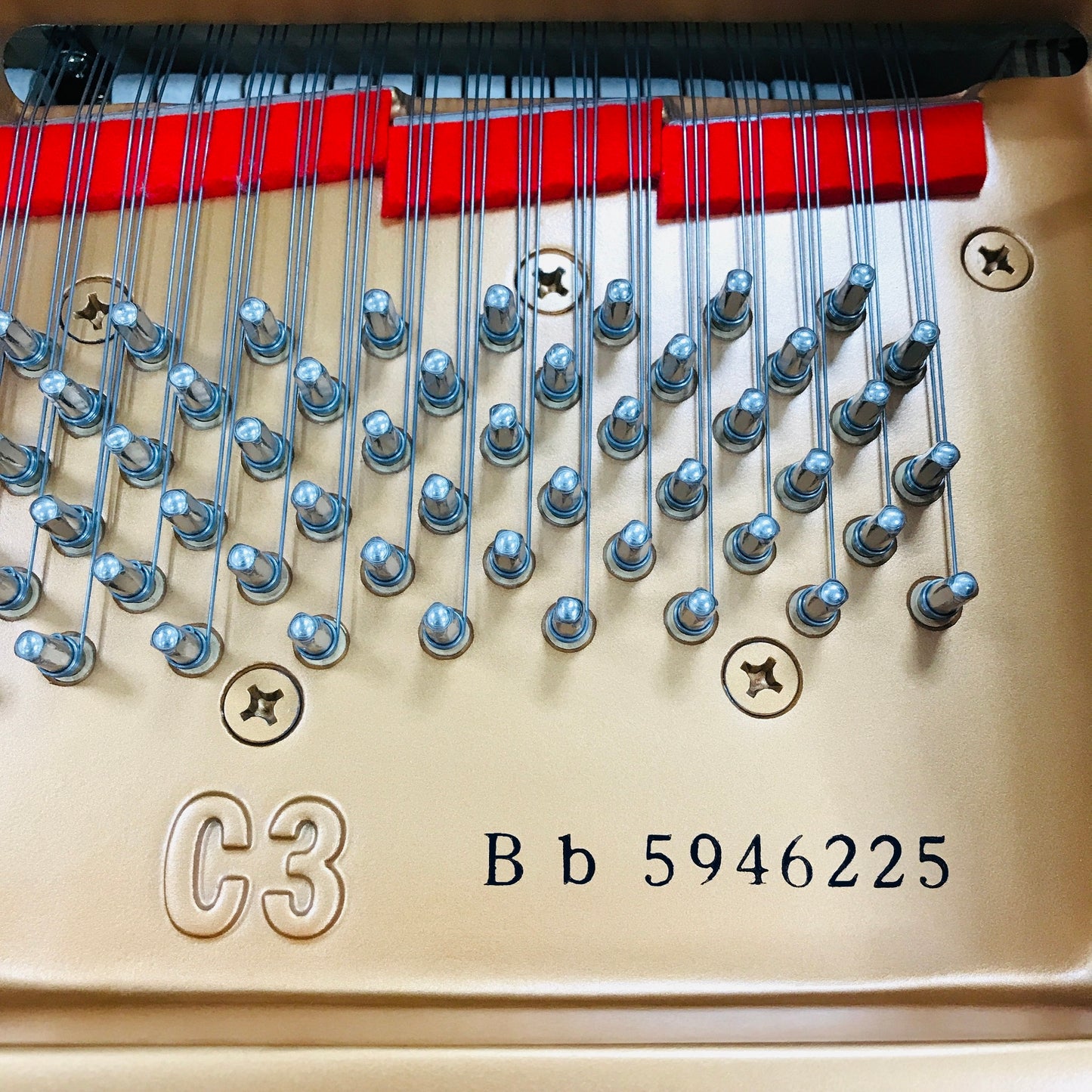 Yamaha C3 Bubinga Anniversary Edition Grand Piano