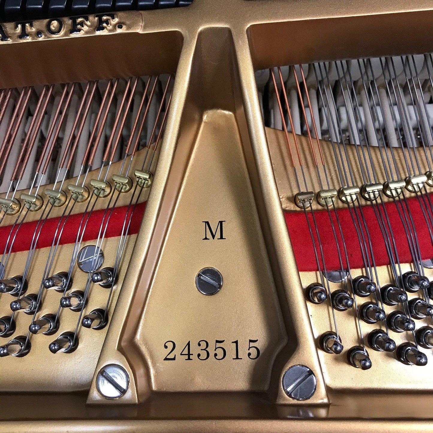 Steinway M Grand Piano - Orpheus Music