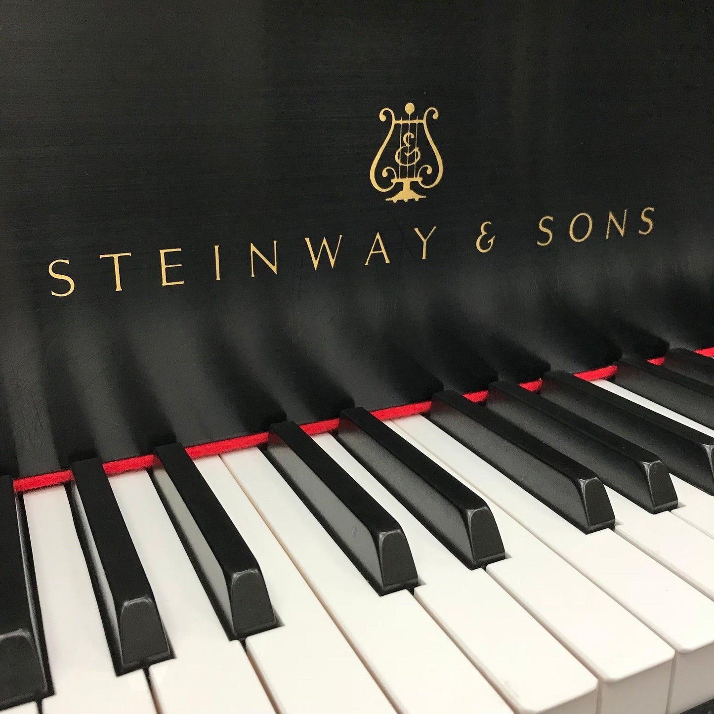 Steinway M Grand Piano - Orpheus Music