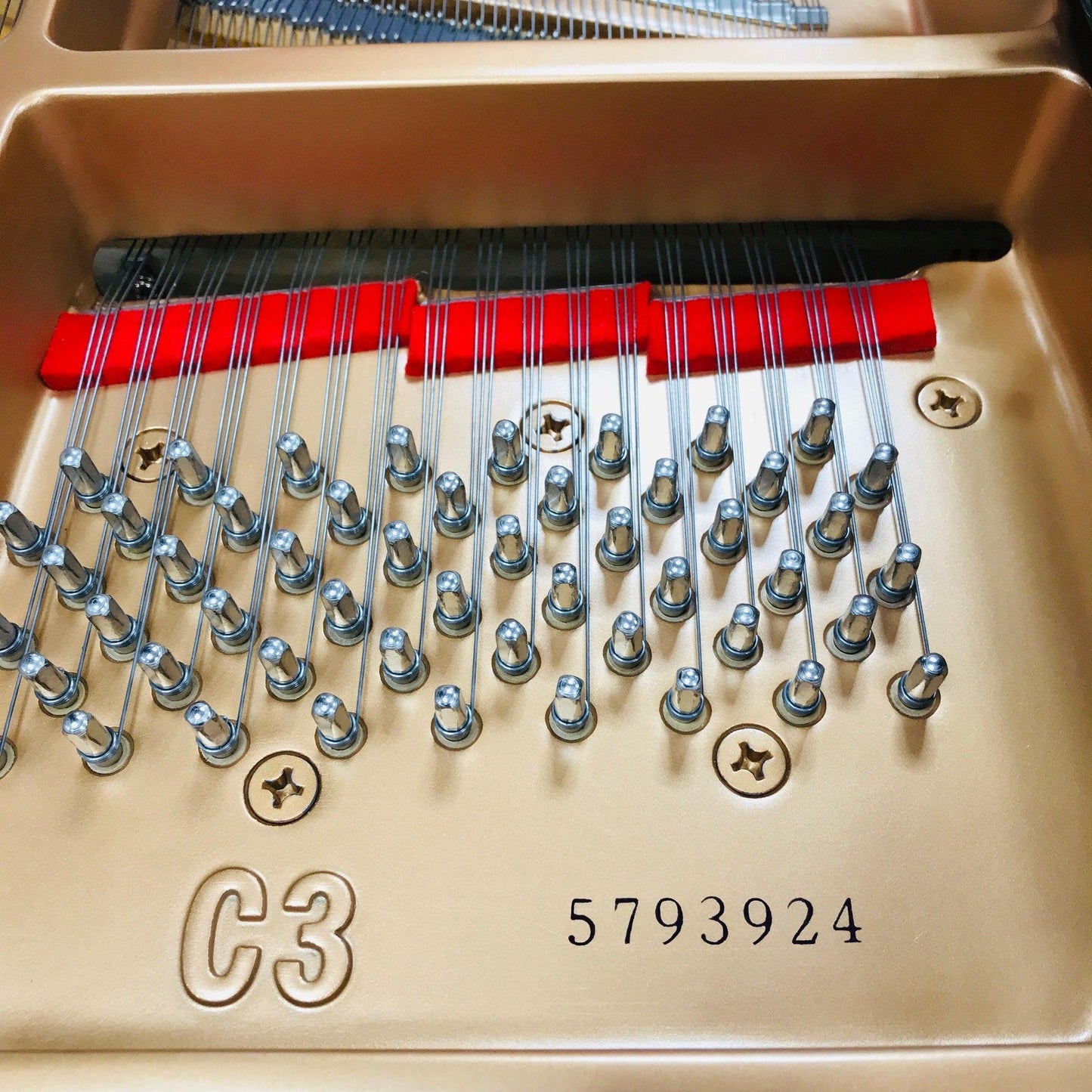 Yamaha C3 Grand Piano - Orpheus Music