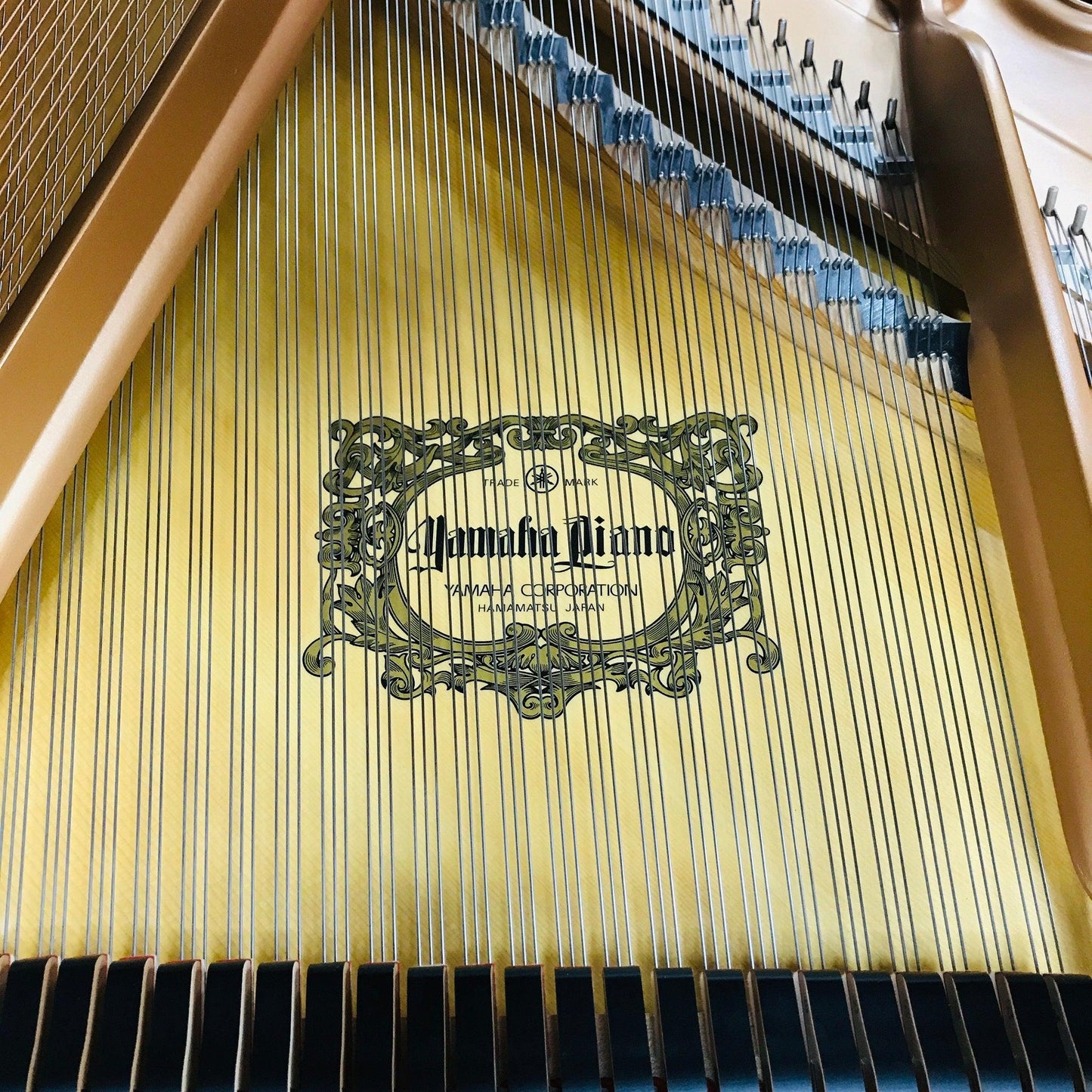 Yamaha C3 Grand Piano - Orpheus Music
