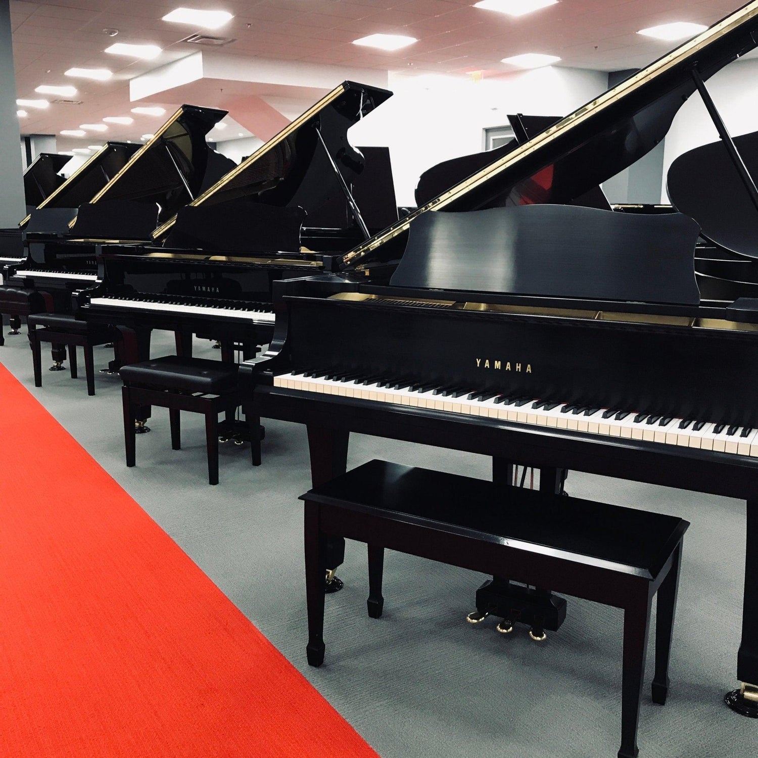 Grand Pianos (Used) - Orpheus Music