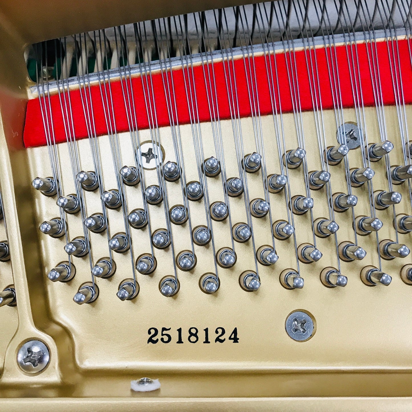 Kawai GM-10 LE Grand Piano with PianoDisc Player System