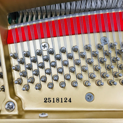Kawai GM-10 LE Grand Piano with PianoDisc Player System
