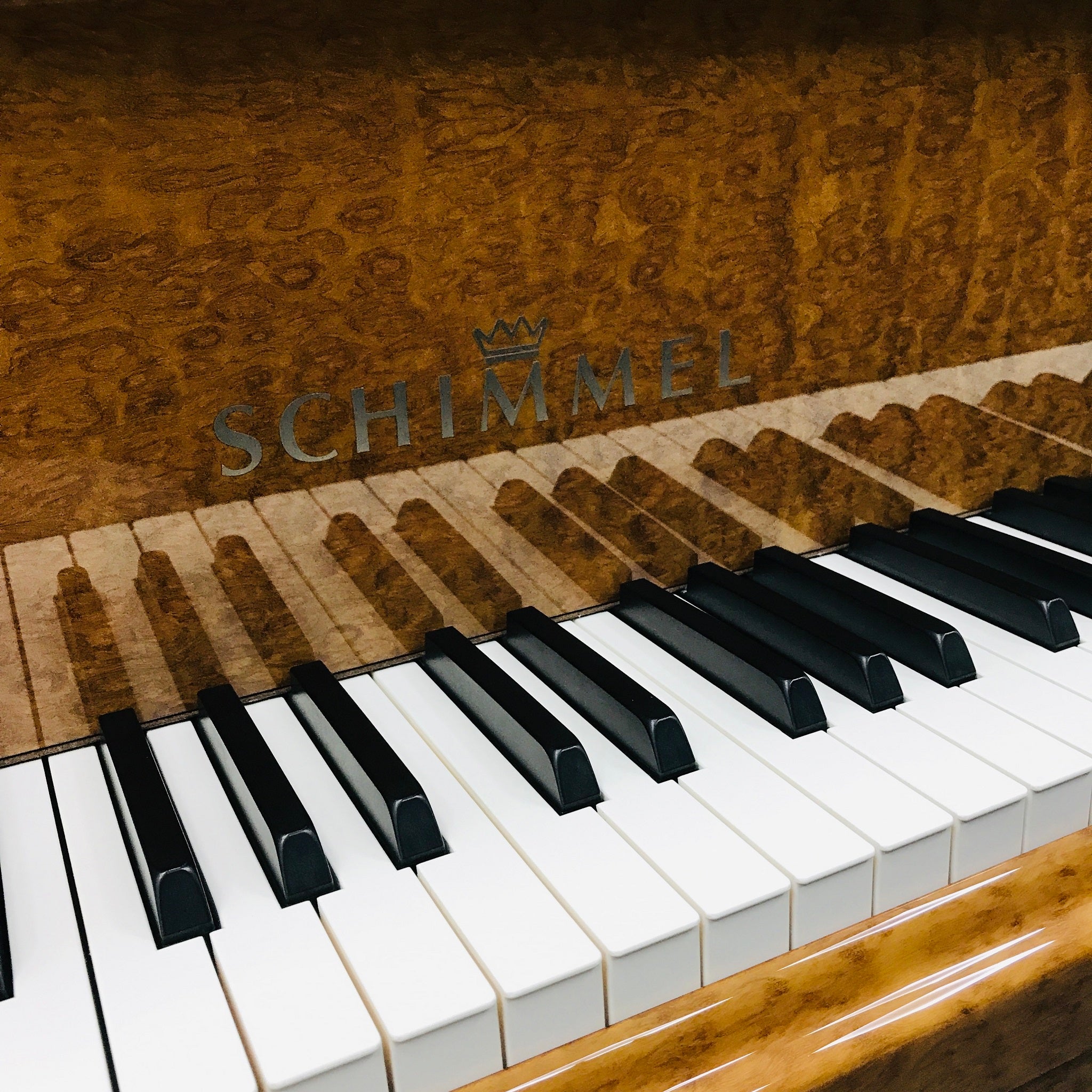 Schimmel C169 Grand Piano Eucalyptus
