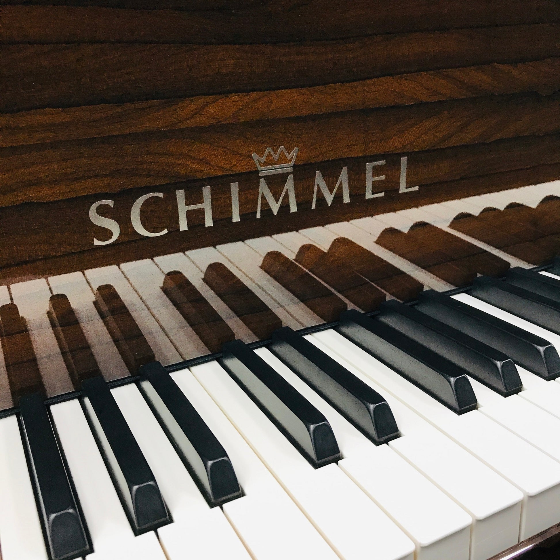 Schimmel C169 Grand Piano Ziricote – Orpheus Music