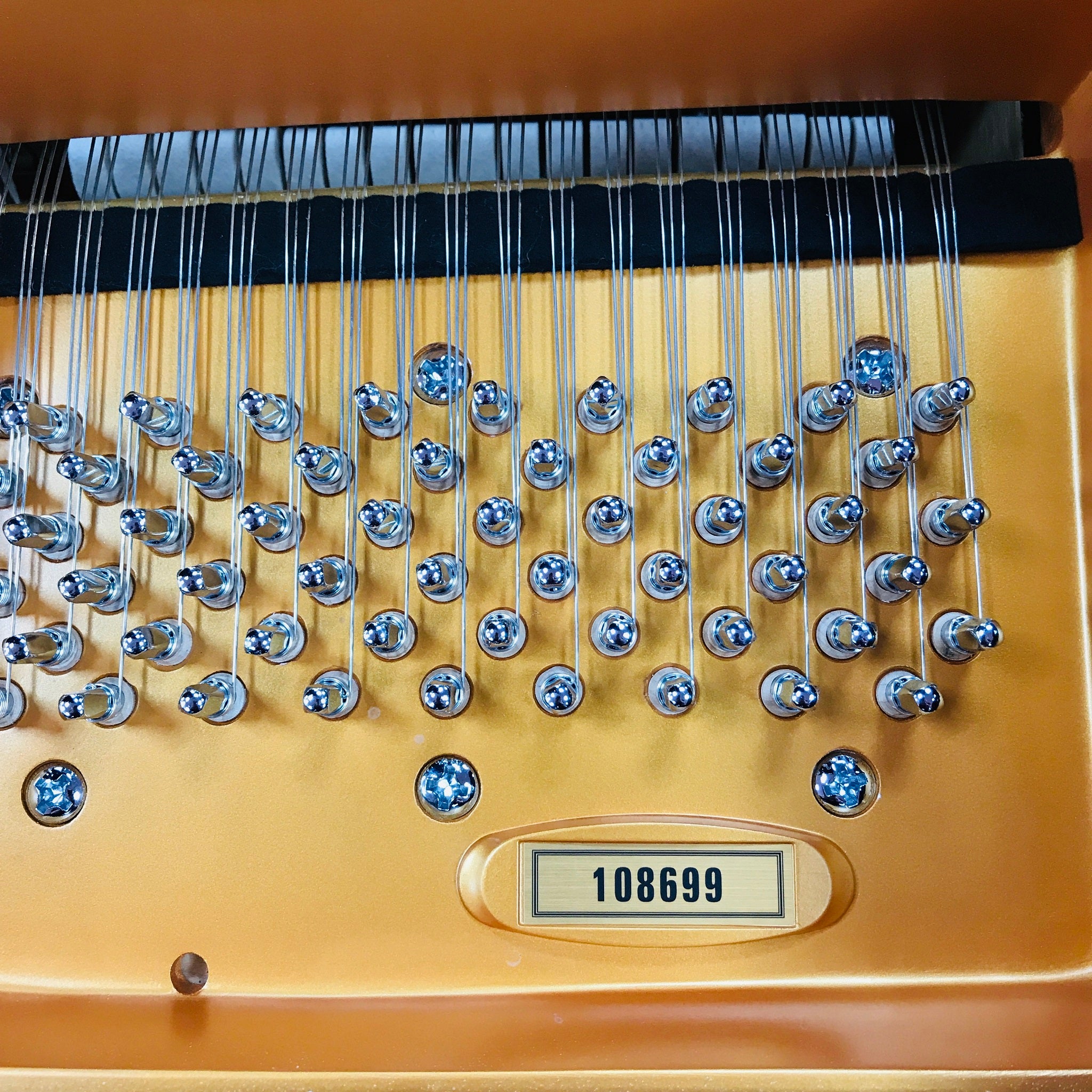 Schimmel Fridolin F156 Grand Piano