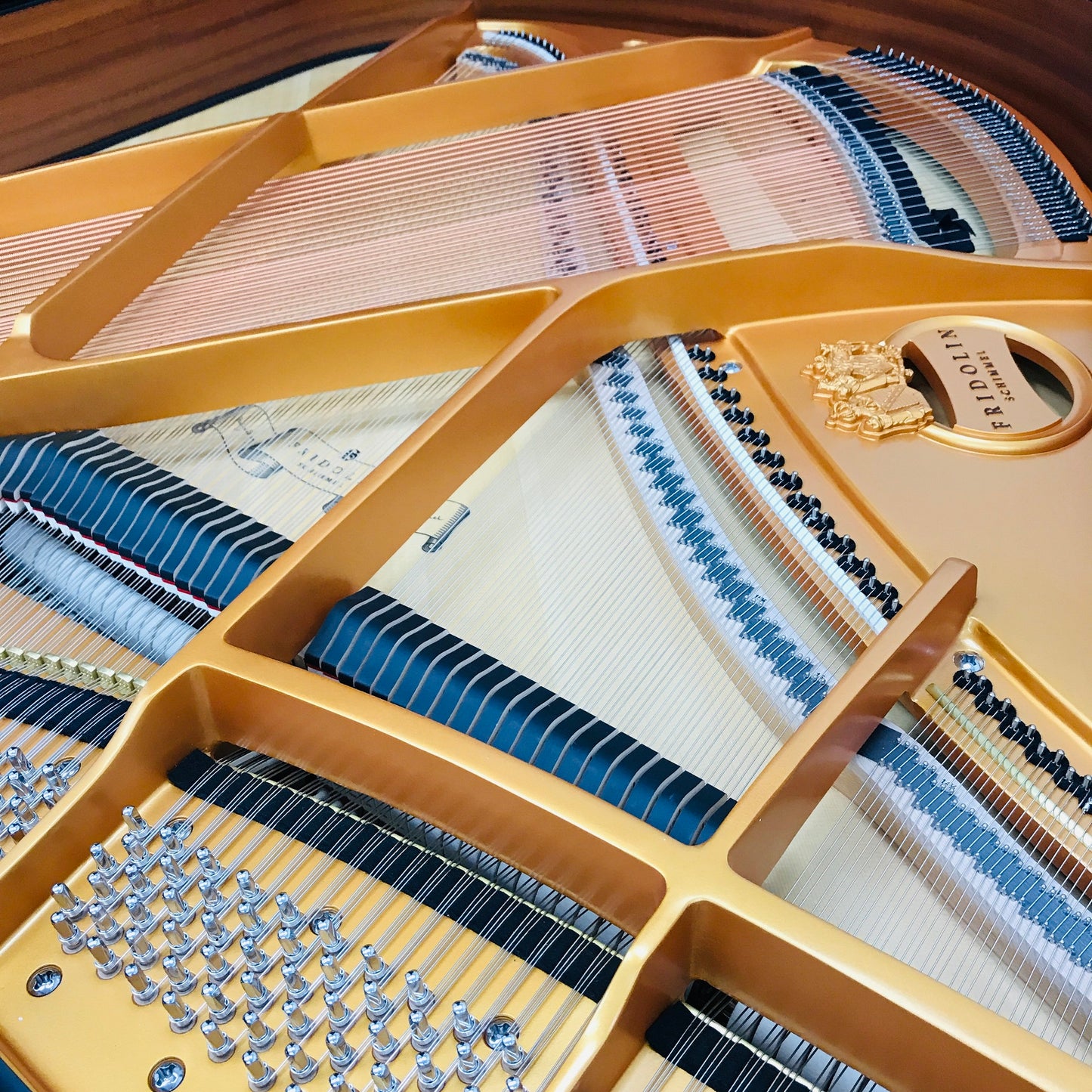 Schimmel Fridolin F156 Grand Piano
