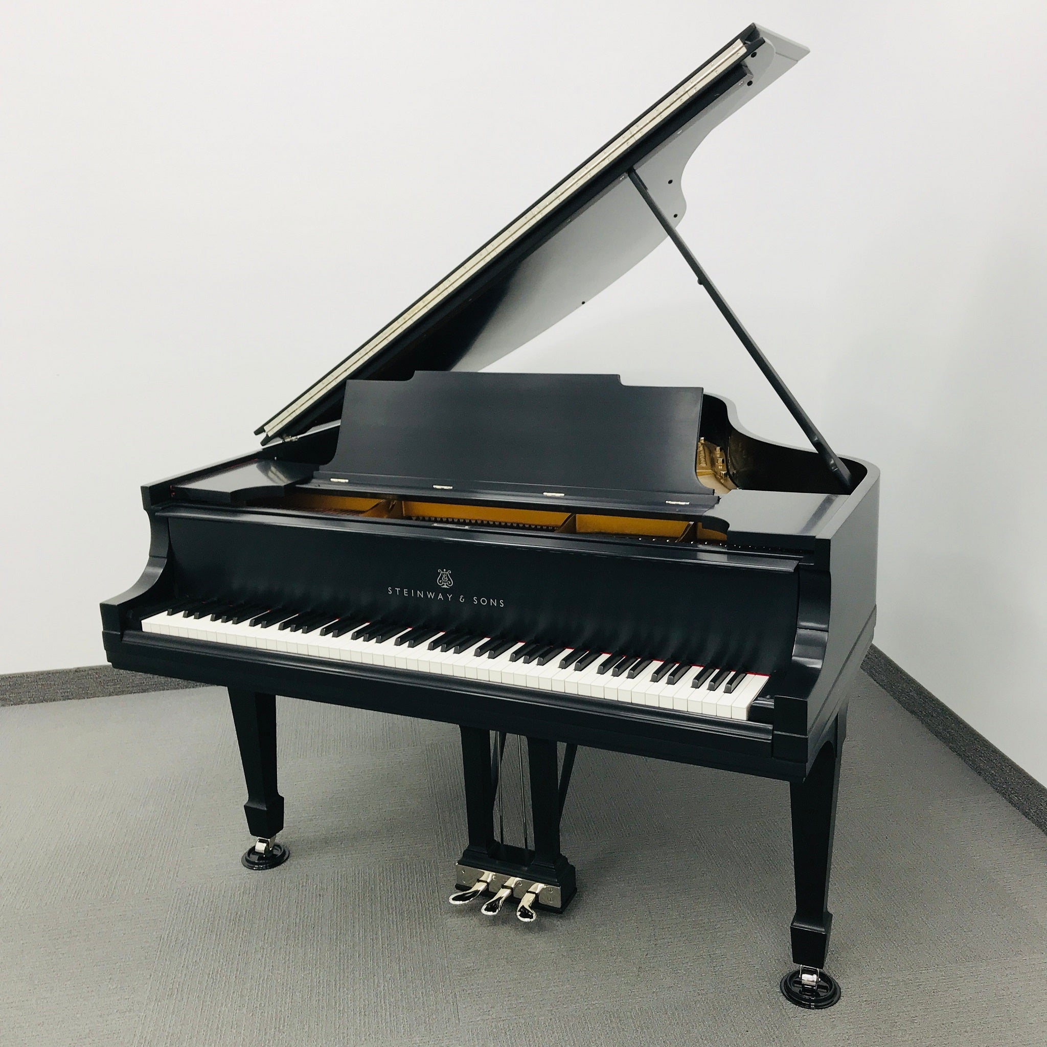 Steinway M Grand PIano