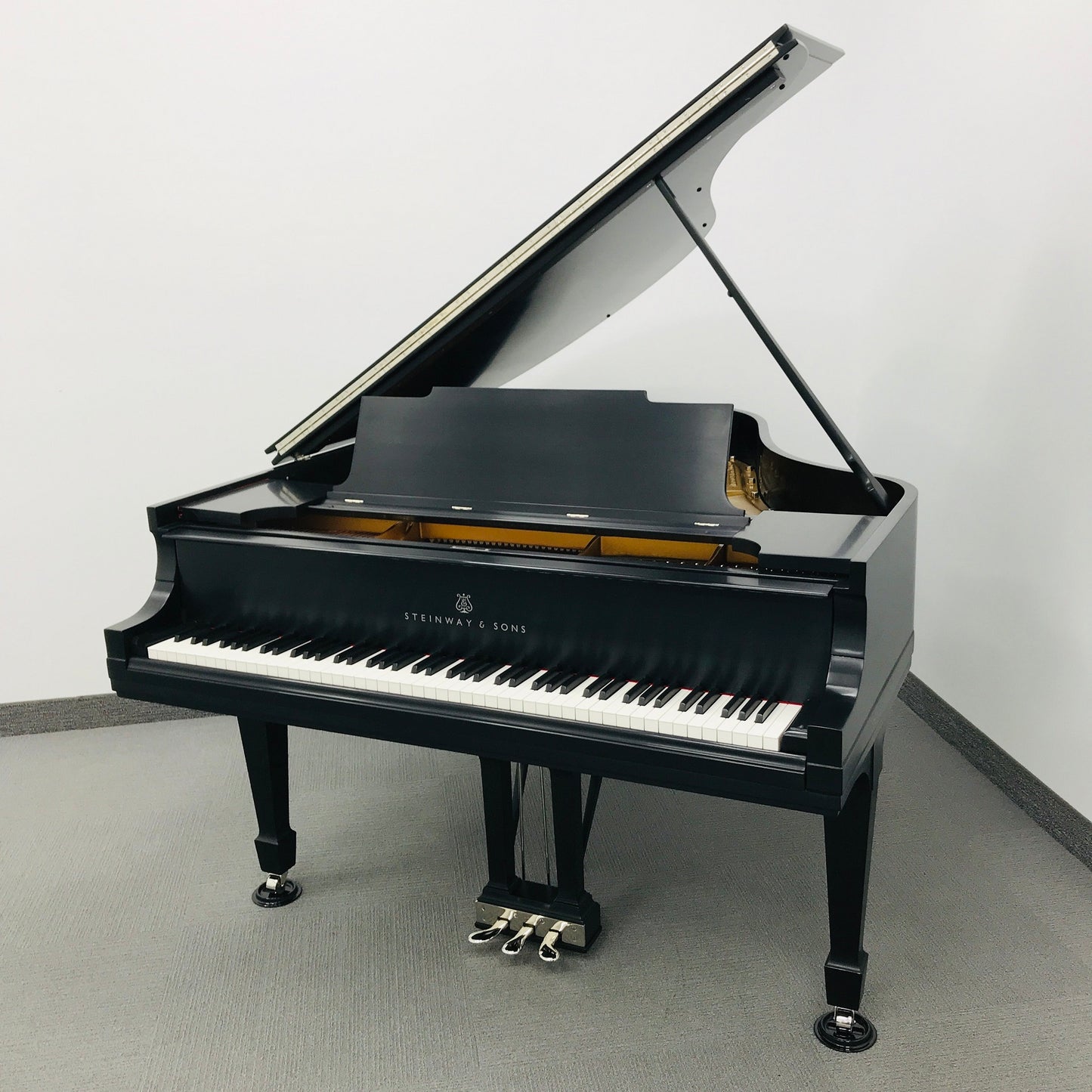 Steinway M Grand PIano