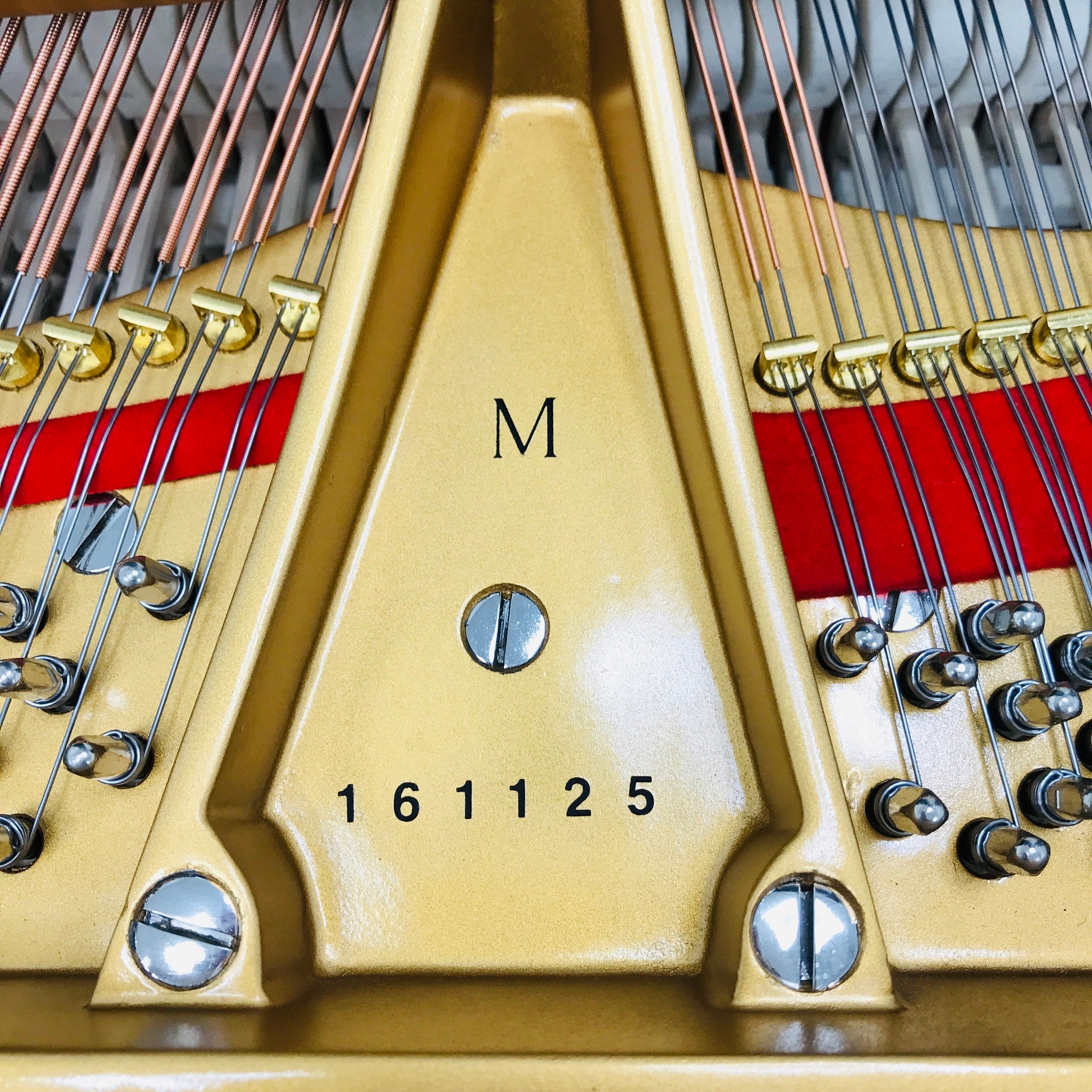 Steinway M Grand PIano