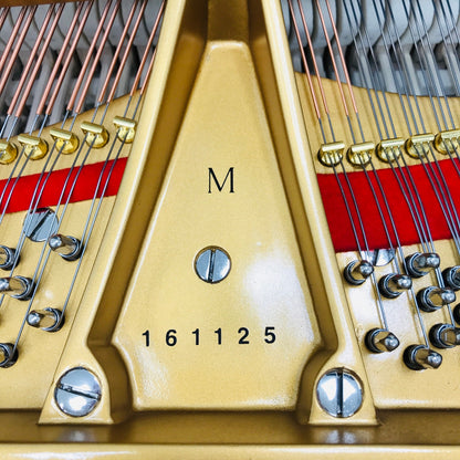 Steinway M Grand PIano