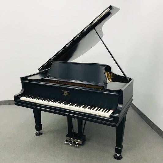 Steinway O Grand Piano