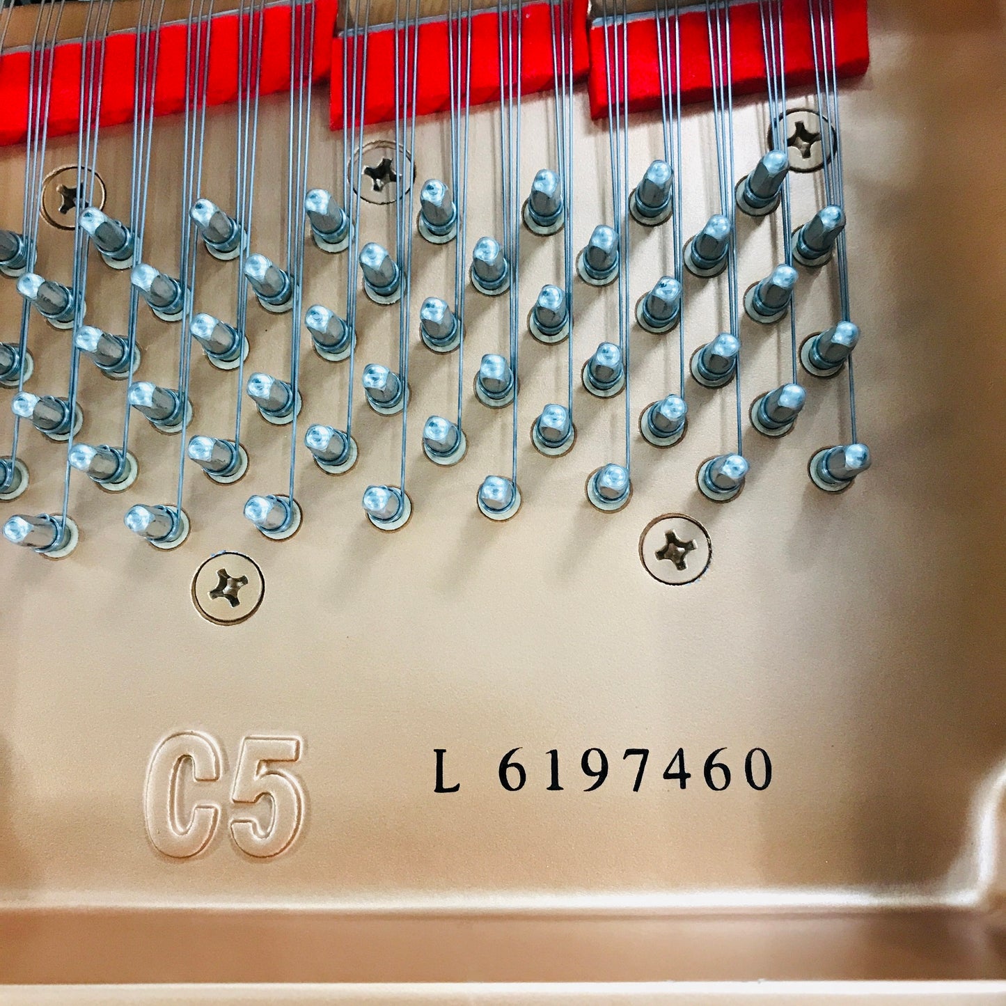 Yamaha C5 Grand Piano