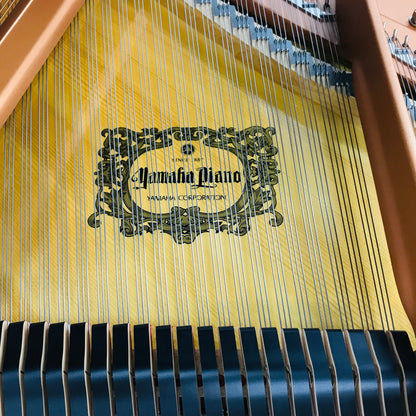 Yamaha GC1 Grand Piano