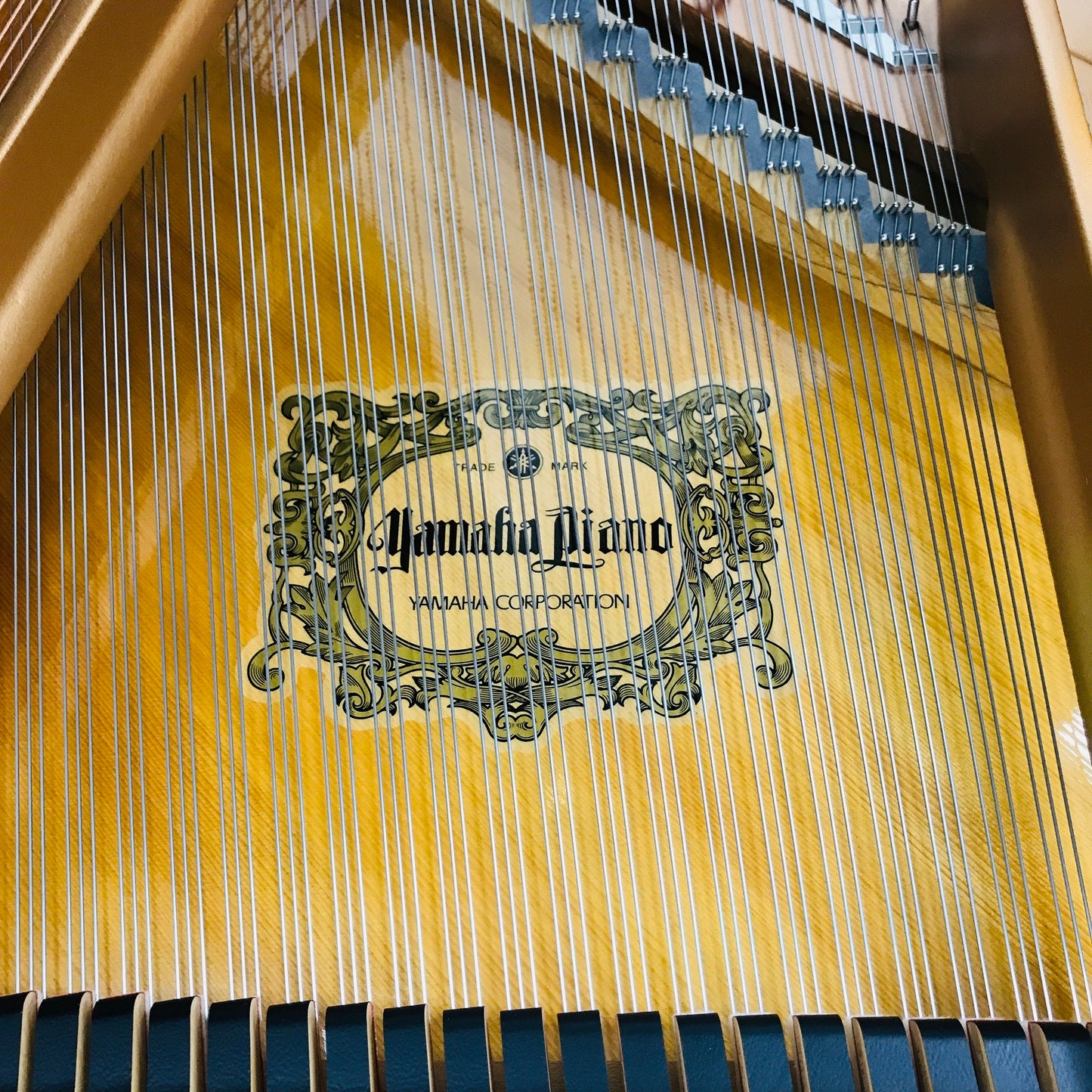 Yamaha GC1 Grand Piano