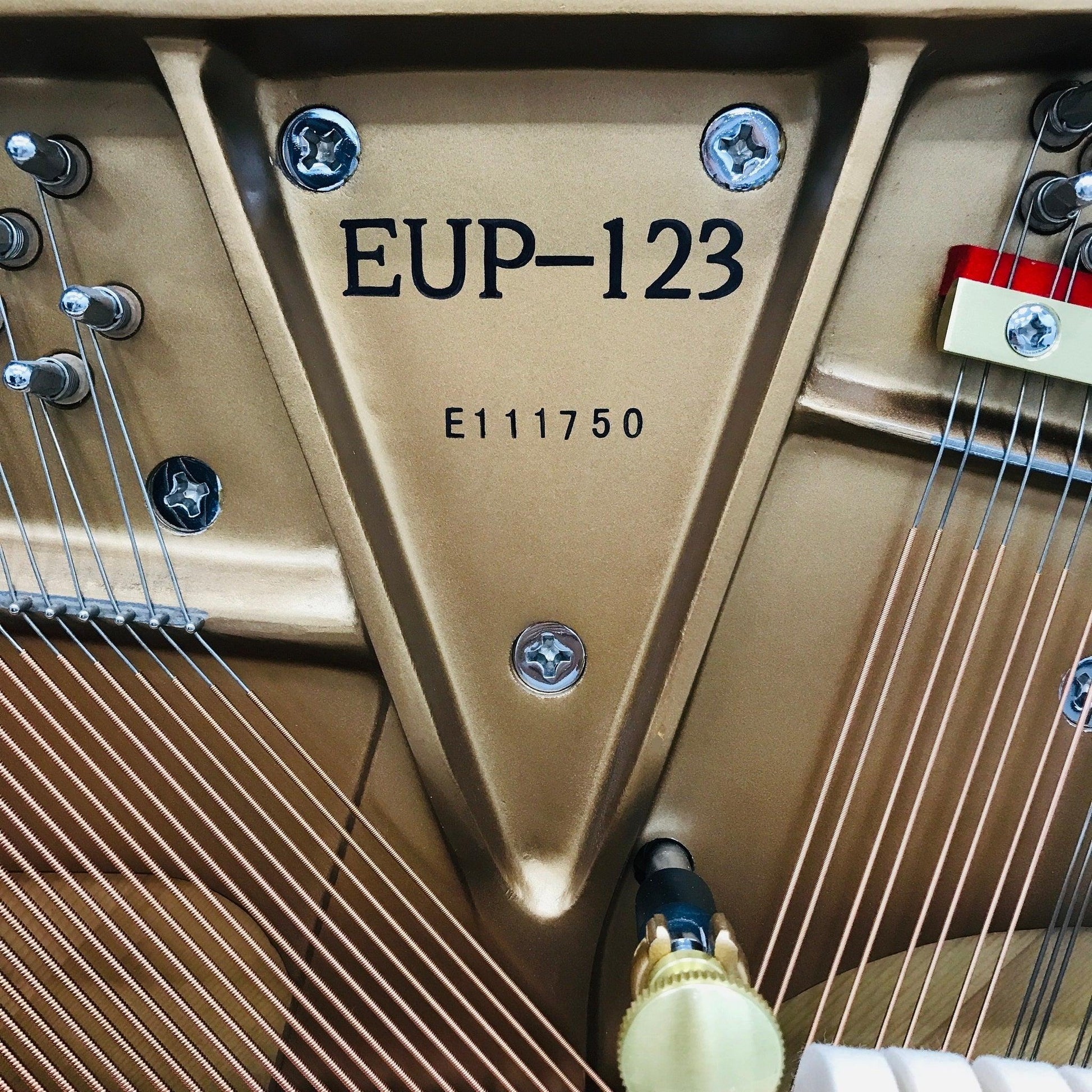 Essex EUP123 Upright Piano - Orpheus Music