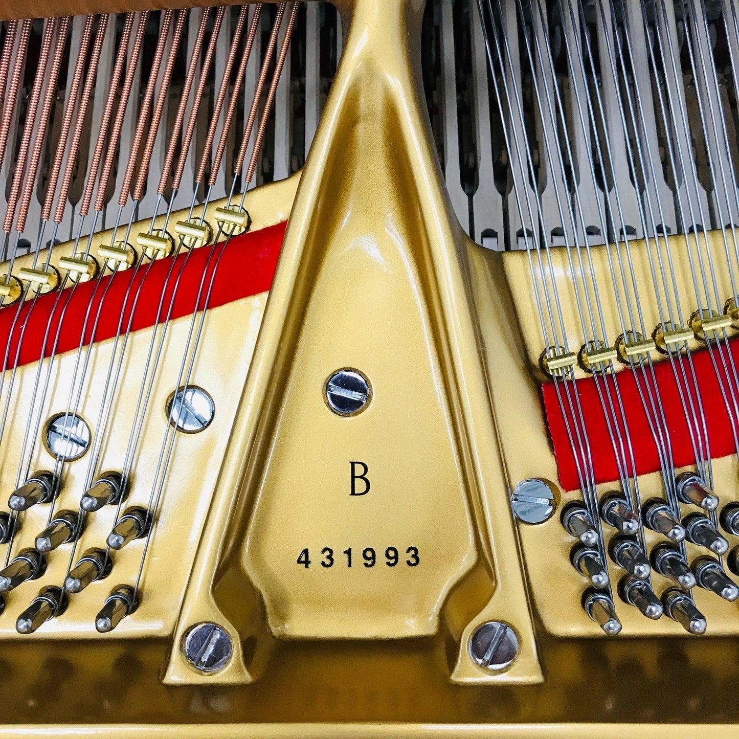 Steinway B Grand Piano - Orpheus Music