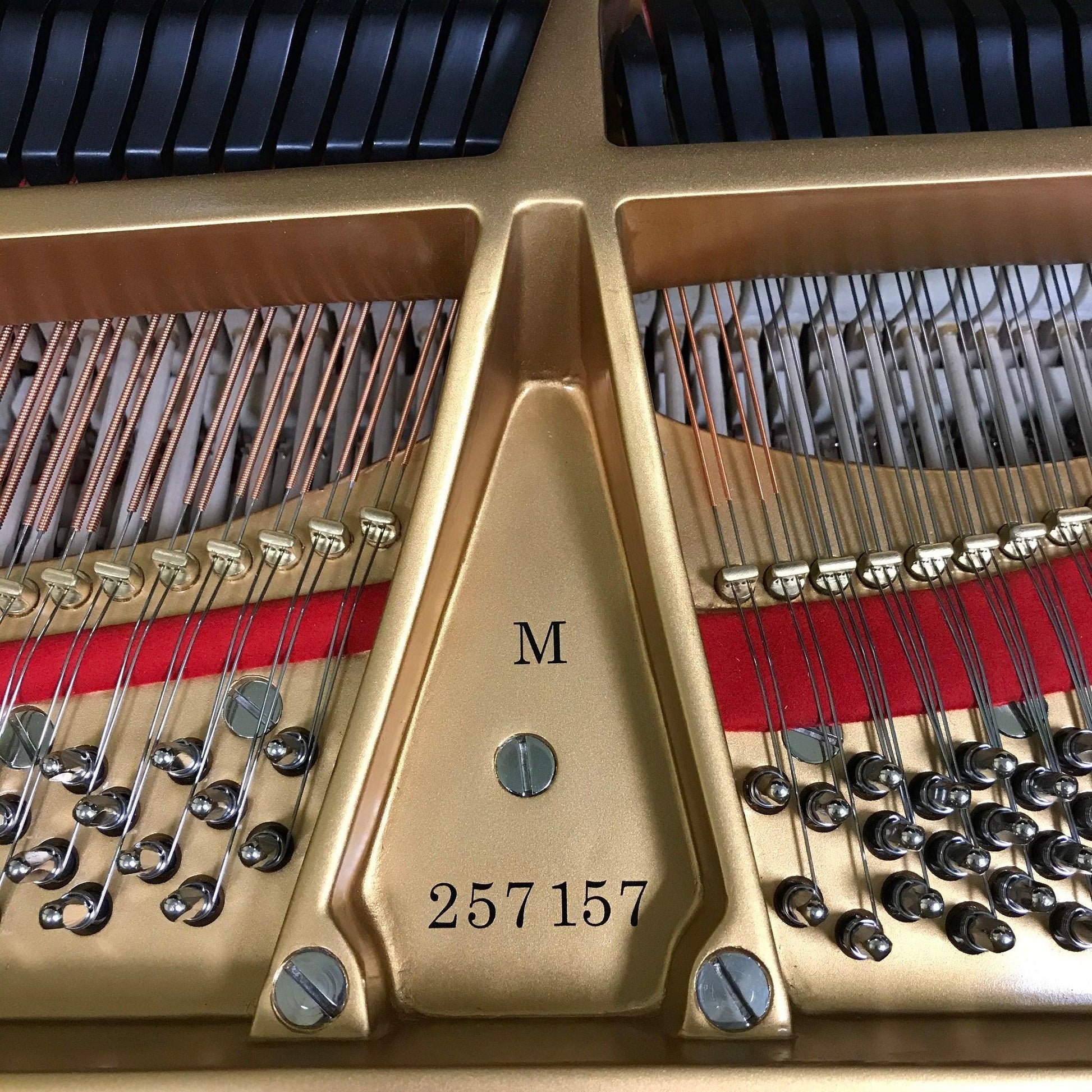 Steinway M Grand Piano - Orpheus Music