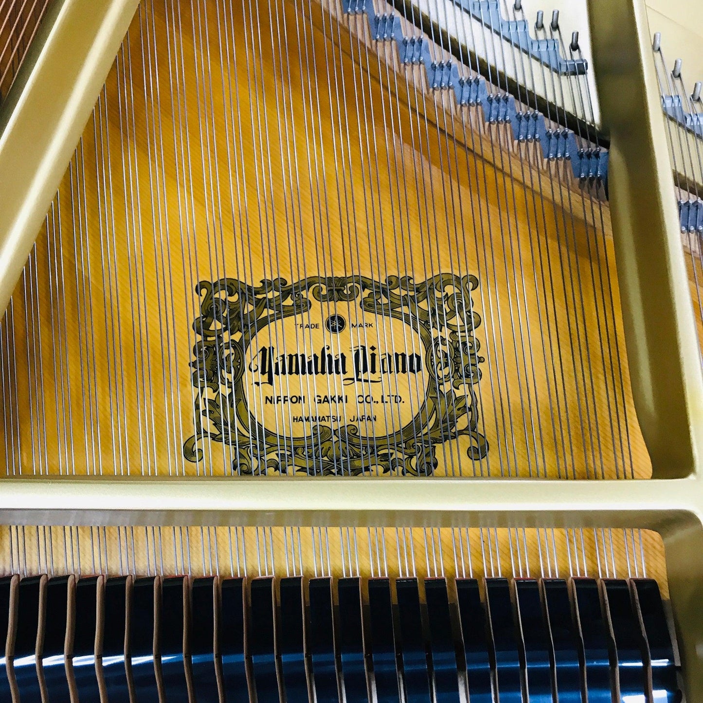 Yamaha C3 Grand Piano - Orpheus Music